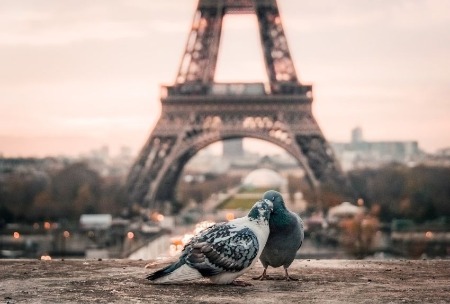 День всех влюбленных