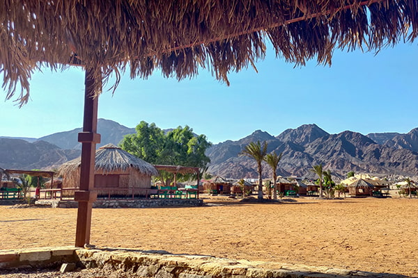 Выгодный тур в Египет зимой Тур в Египет зимой