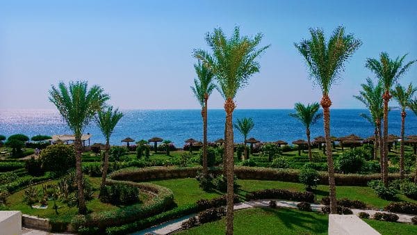 тури в Шарм-ель-Шейх все включено