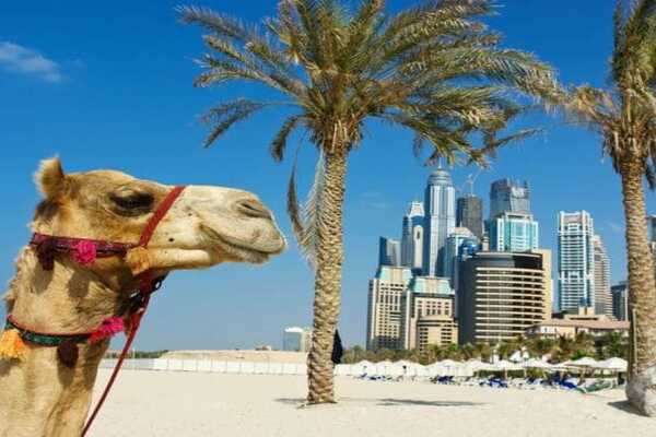 Туры в Эмираты на весну из Молдовы