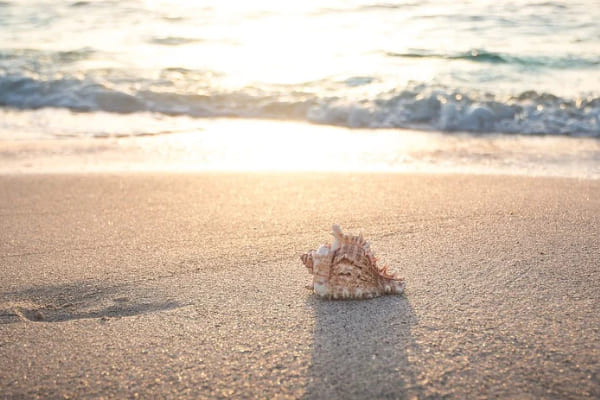 туры на осенние каникулы