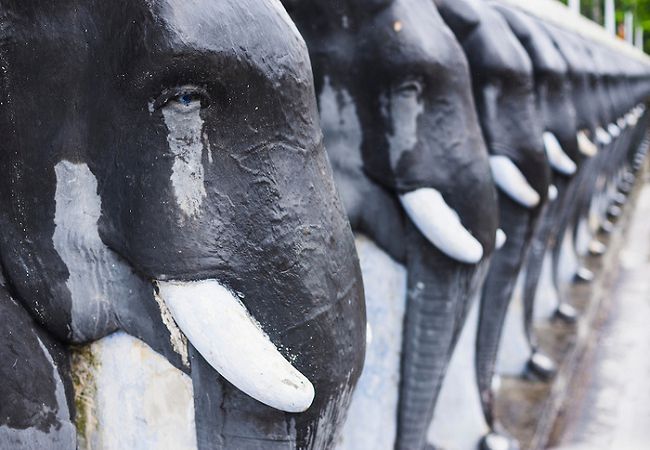 Sacred-City-of-Anuradhapura-elephant-statues-at-Ruvanvelisaya-Dagoba-in-the-Mahavihara-The-Great-Monastery-Sri-Lanka-Asia.jpg