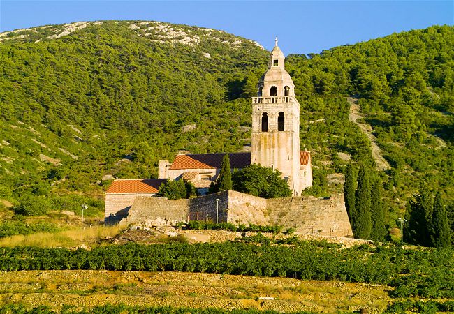 Vis-island-vineyard-Croatia_CS-5068a31387d0.jpg