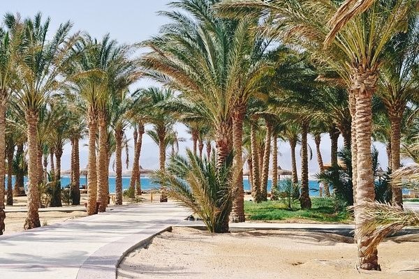 Готелі в Шарм-ель-Шейху Готелі в Шарм-ель-Шейху