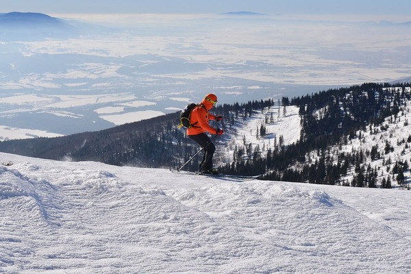 Гірськолижний відпочинок skier-4814320_960_720.jpg